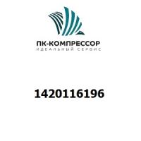 1420116196 PROBE RAM