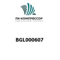 BGL000607 O-RING