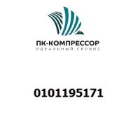 0101195171 PIN