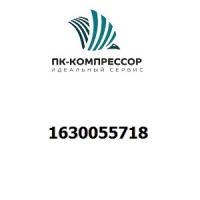 1630055718 MOTOR