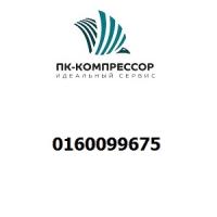 0160099675 SCREW
