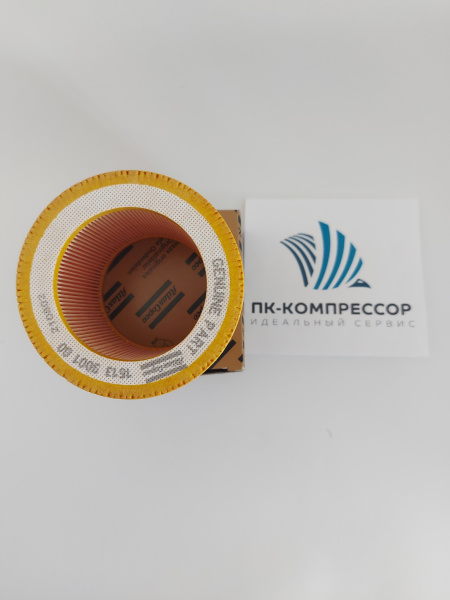 1613900100 AIR FILTER ELEMENT (Воздушный фильтр)